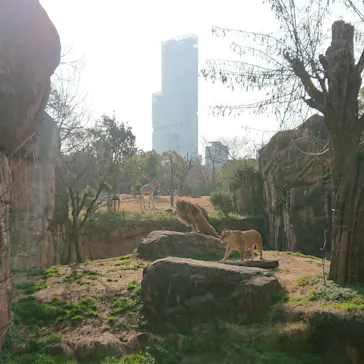 天王寺動物園に投稿された画像（2021/2/7）