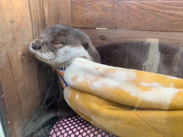 大分マリーンパレス水族館 「うみたまご」に投稿された画像（2021/2/7）