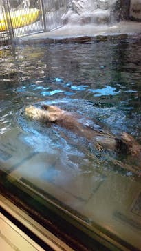 株式会社Gに投稿された画像（2021/2/7）