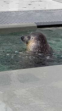 株式会社Gに投稿された画像（2021/2/7）