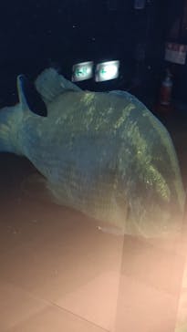 株式会社Gに投稿された画像（2021/2/7）