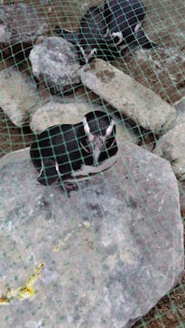 株式会社Gに投稿された画像（2021/2/7）