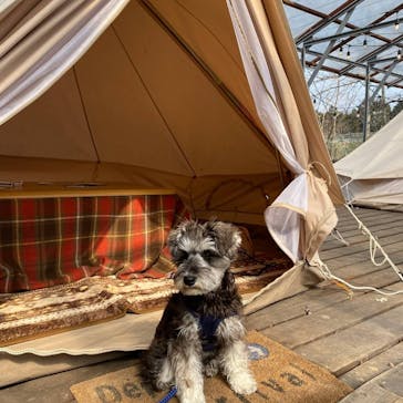 福田フルーツパークに投稿された画像（2021/2/7）