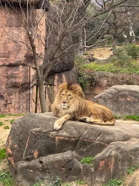 天王寺動物園に投稿された画像（2021/2/7）