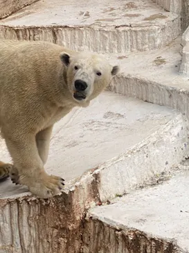 天王寺動物園に投稿された画像（2021/2/7）
