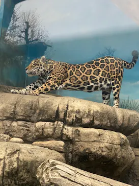 天王寺動物園に投稿された画像（2021/2/7）