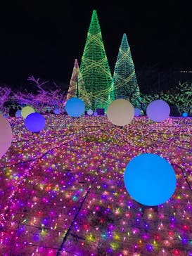 よみうりランド 遊園地に投稿された画像（2021/2/7）