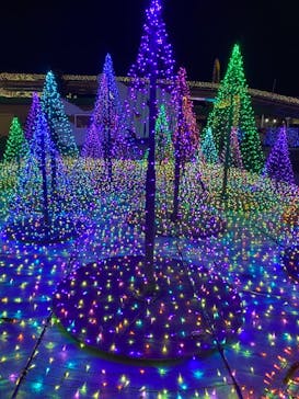 よみうりランド 遊園地に投稿された画像（2021/2/7）