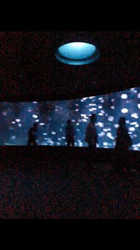 サンシャイン水族館に投稿された画像（2021/2/7）