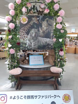 群馬サファリパークに投稿された画像（2021/2/8）