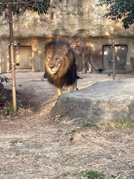 東武動物公園に投稿された画像（2021/2/8）