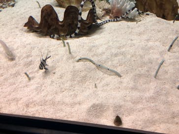 株式会社Gに投稿された画像（2021/2/8）