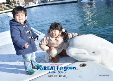 横浜・八景島シーパラダイスに投稿された画像（2021/2/8）