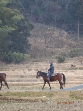 TANIMOTO HORSE RANCH（タニモトホースランチ）に投稿された画像（2021/2/8）