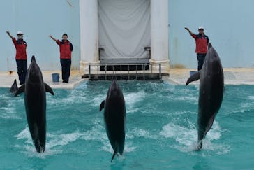 株式会社Gに投稿された画像（2021/2/8）