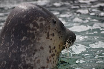 株式会社Gに投稿された画像（2021/2/8）