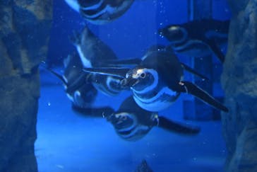 株式会社Gに投稿された画像（2021/2/8）