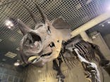 国立科学博物館に投稿された画像（2021/2/8）