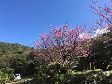 アスムイハイクスに投稿された画像（2021/2/8）