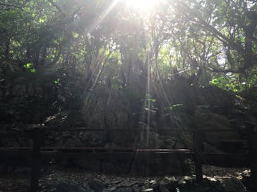 アスムイハイクスに投稿された画像（2021/2/8）