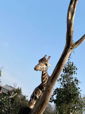 天王寺動物園に投稿された画像（2021/2/8）