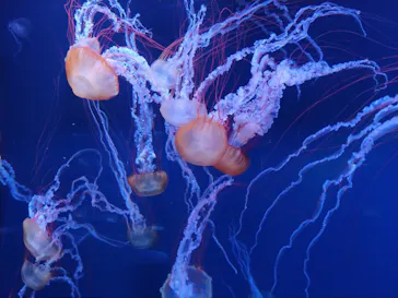 すみだ水族館に投稿された画像（2021/2/9）
