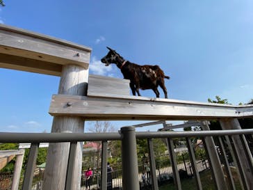 沖縄こどもの国に投稿された画像（2021/2/9）