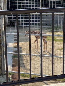 沖縄こどもの国に投稿された画像（2021/2/9）