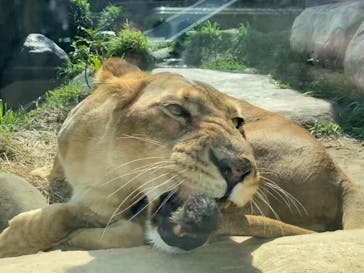 沖縄こどもの国に投稿された画像（2021/2/9）