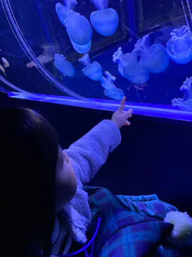 すみだ水族館に投稿された画像（2021/2/9）