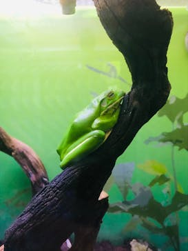 サンシャイン水族館に投稿された画像（2021/2/9）