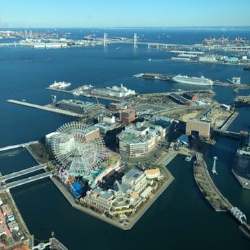 横浜ランドマークタワー 69階展望フロア スカイガーデンに投稿された画像（2021/2/9）