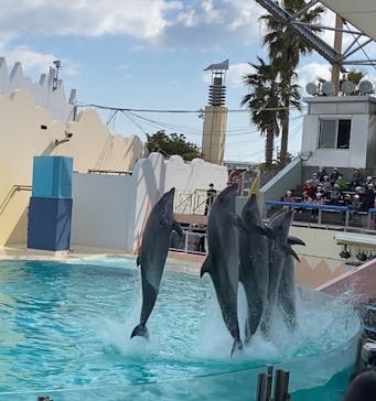 株式会社Gに投稿された画像（2021/2/9）