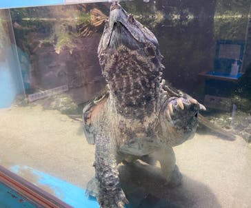 株式会社Gに投稿された画像（2021/2/9）