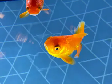 すみだ水族館に投稿された画像（2021/2/9）