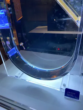 すみだ水族館に投稿された画像（2021/2/10）