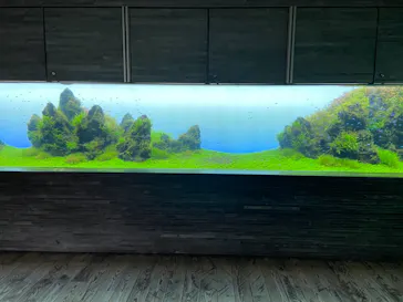 すみだ水族館に投稿された画像（2021/2/10）