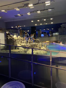 すみだ水族館に投稿された画像（2021/2/10）