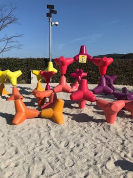 大分マリーンパレス水族館 「うみたまご」に投稿された画像（2021/2/10）