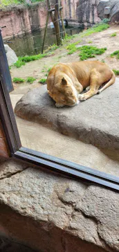 天王寺動物園に投稿された画像（2021/2/10）