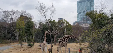 天王寺動物園に投稿された画像（2021/2/10）