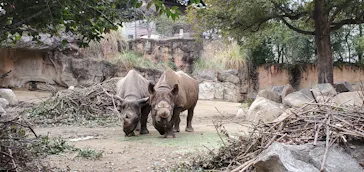 天王寺動物園に投稿された画像（2021/2/10）
