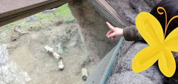 天王寺動物園に投稿された画像（2021/2/10）