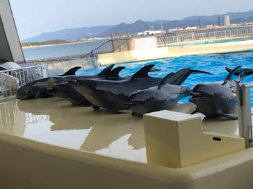 マリンワールド海の中道に投稿された画像（2021/2/10）