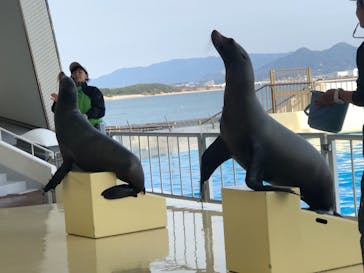 マリンワールド海の中道に投稿された画像（2021/2/10）