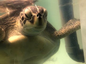 マリンワールド海の中道に投稿された画像（2021/2/10）