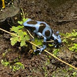 サンシャイン水族館に投稿された画像（2021/2/10）