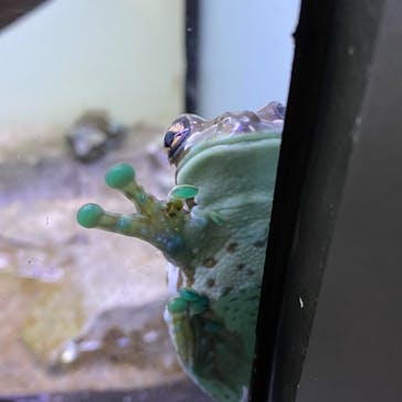 サンシャイン水族館に投稿された画像（2021/2/10）