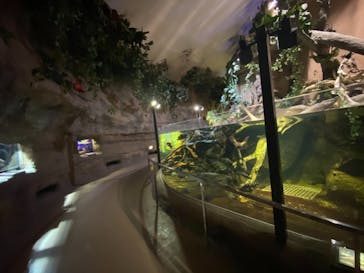 株式会社Gに投稿された画像（2021/2/10）