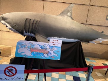 株式会社Gに投稿された画像（2021/2/10）